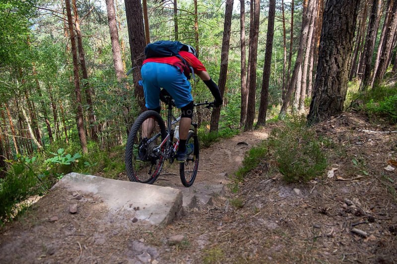 Mountain biker riding steps on a single trail near Weinbiet in the Palatinate Forest, Germany, Europe