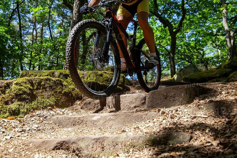 Mountain biker riding a difficult single trail with several steps
