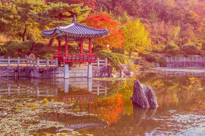 Oriental gazebo with terracotta tile roof at edge of man made pond in local public park in South Korea