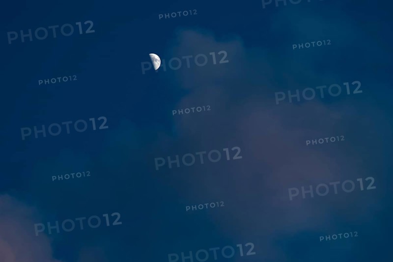 The waxing crescent moon stands bright in a deep blue evening sky with cumulus clouds illuminated slightly pink by the sun, Lower Saxony, Germany, Europe