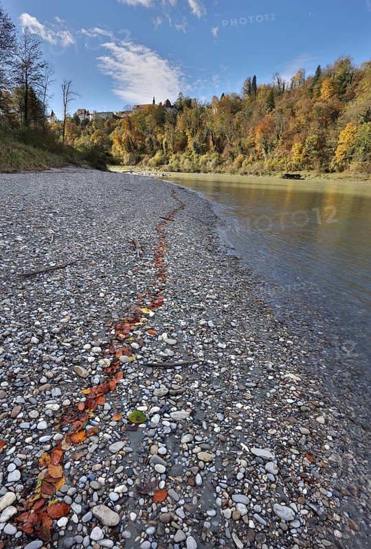 Red beech leaves lie in a row on grey stones by a river in autumn, in the background a castle towers on a wooded hill, Salzach, Burghausen, Upper Bavaria, Germany, Europe