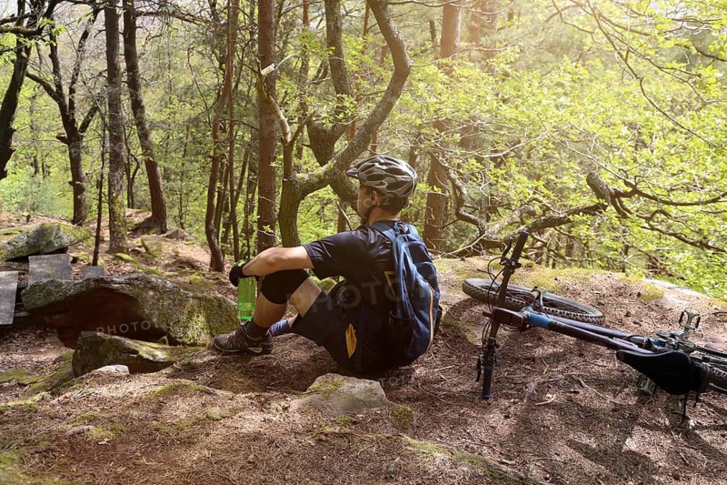 Mountain biker in the Palatinate Forest near the Hohe Loog above Neustadt an der Weinstrasse
