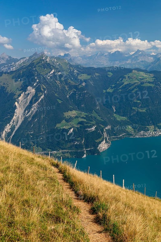 View from Niederbauen Kulm (1923m) to Bristenstock, Lake Lucerne, Canton Uri, Switzerland, Lake Lucerne, Uri, Switzerland, Europe
