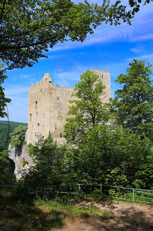 Ruin Reussenstein, ruin of a rock castle above Neidlingen, rock above the Neidlingen valley, ministerial castle of the Teck dominion, Neidlingen, Swabian Alb, Baden-Wuerttemberg, Germany, Europe