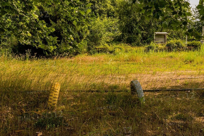 Two painted tires planted in ground under shade trees in field of tall grass in South Korea