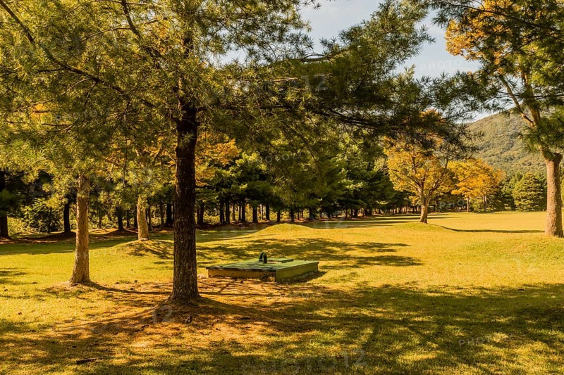 Green, rectangle underground maintenance access point shaded by evergreen trees in public park on sunny afternoon in South Korea