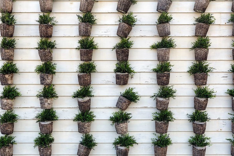 Many flower pots with artificial green plants in rows, dull wooden privacy screen, fence, full-size, Spain, Europe