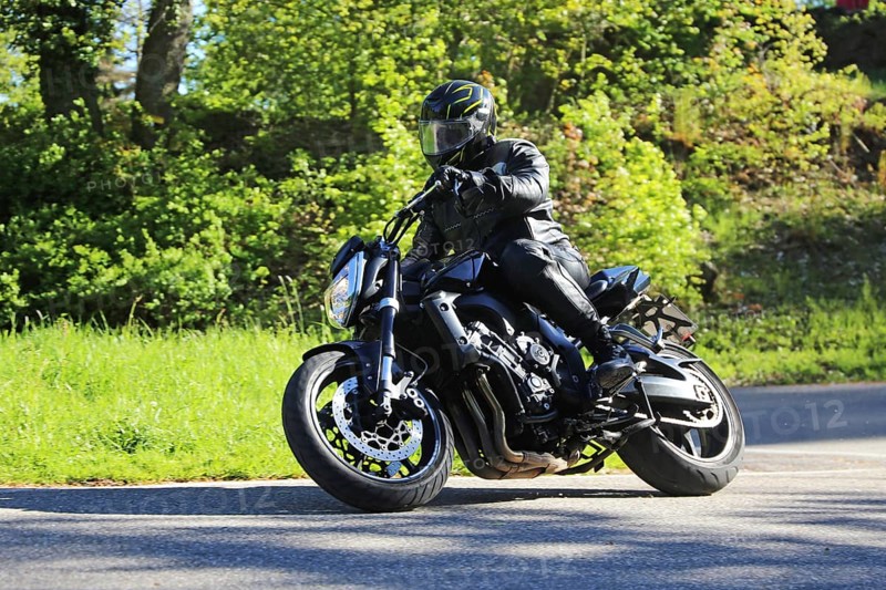 Sporty motorcyclist on a trip into the countryside (Edenkoben Valley, Palatinate Forest)
