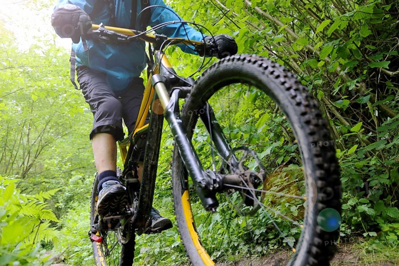 Mountain bikers on a difficult trail in the Palatinate Forest