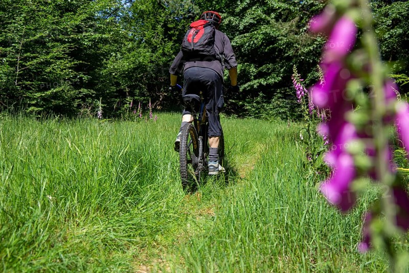 Mountain bikers on tour in the Pfaelzerwald mountain bike park near Dahn