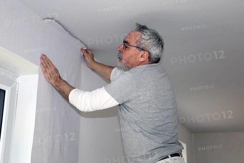 Craftsman (painter) for wallpapering work