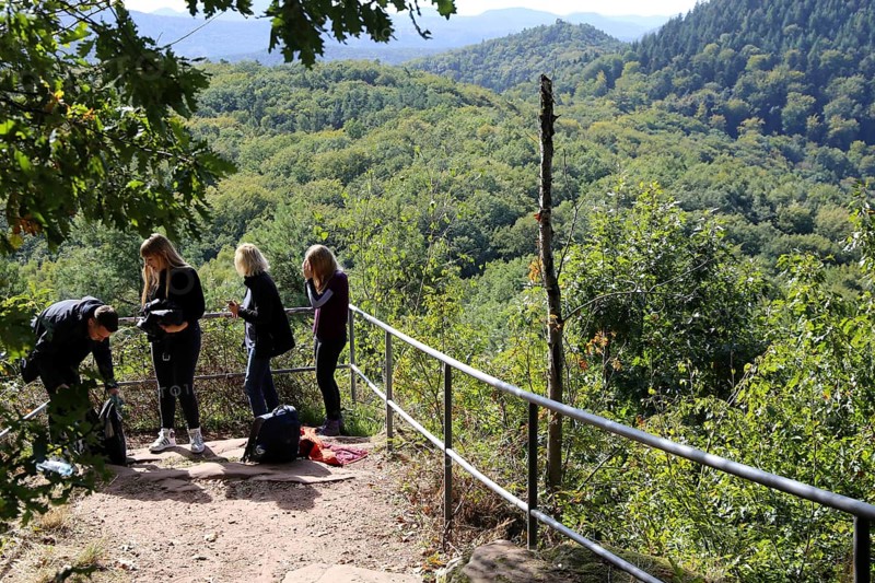 Group of hikers on the Annweiler Castle Trail in the Palatinate Forest