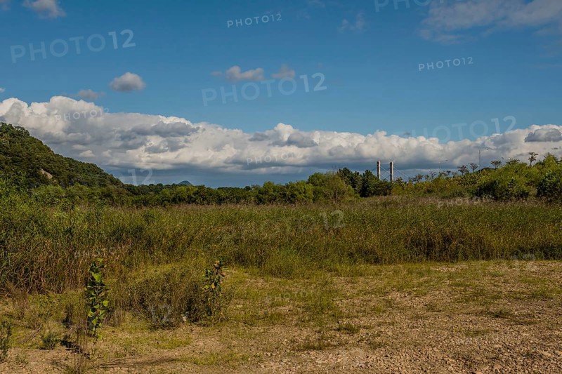 Rural landscape of lush foliage under blue sky with layer of cumulus clouds in background in South Korea