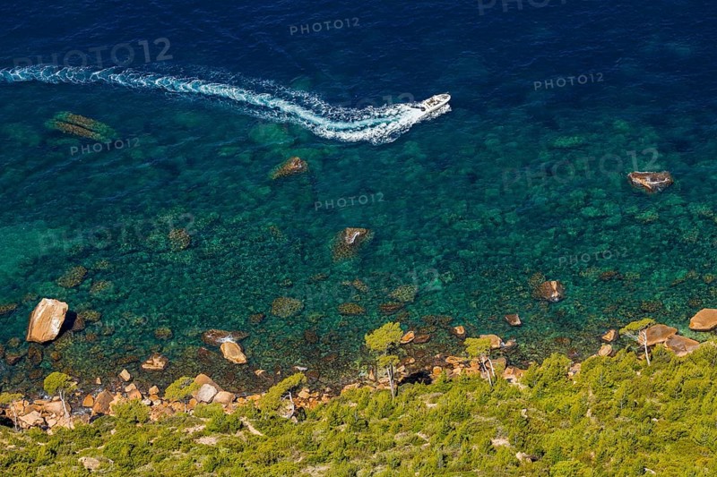 View from Cap Canaille to the green pines and the blue water of the bay, Provence, France, Europe