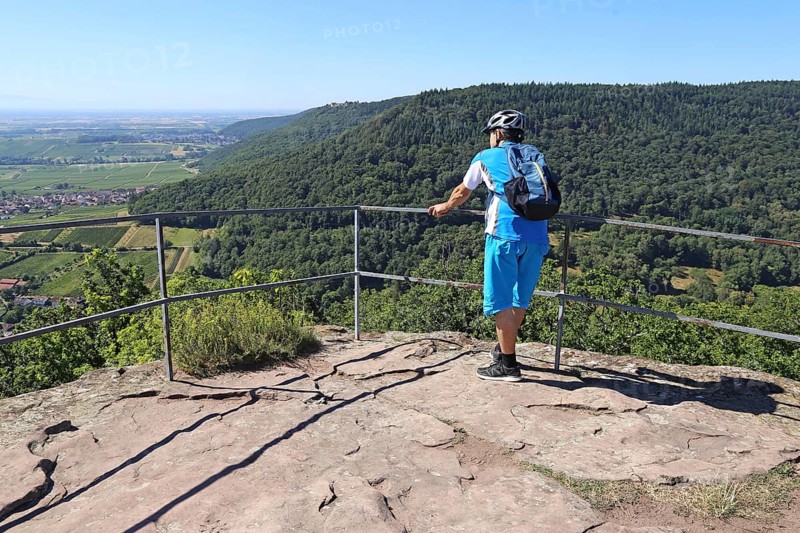 Mountain bikers on the viewing platform of the Neukastel castle ruins above Leinsweiler, Suedliche Weinstrasse district, Rhineland-Palatinate