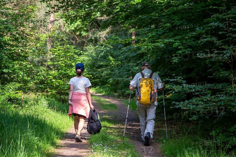 Couple hiking in the forest