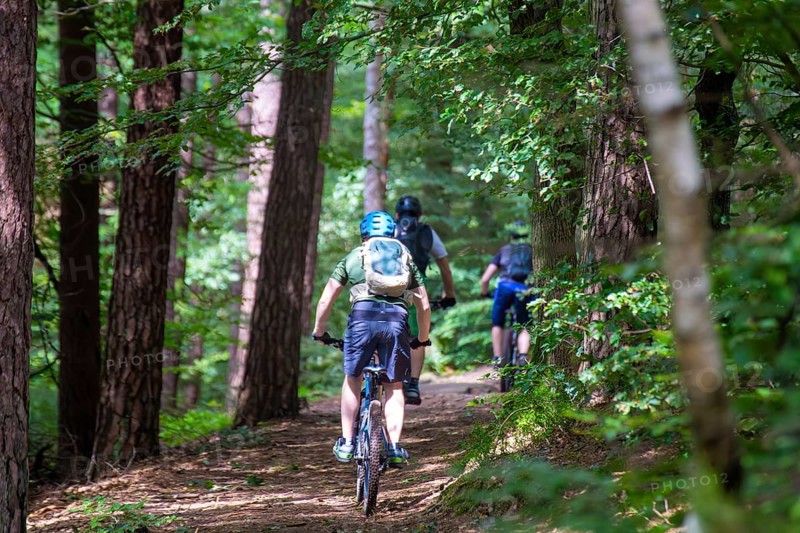 Group of mountain bikers in the Palatinate Forest