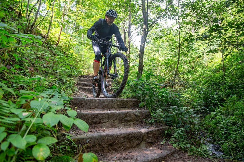 Mountain biker riding steps on a single trail in the Palatinate Forest, Germany, Europe