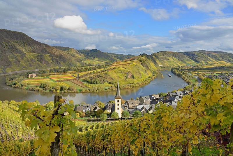 View over the wine village of Bremm am Calmont with St Laurentius Church and the Stuben monastery ruins, Moselle, Rhineland-Palatinate, Germany, Europe