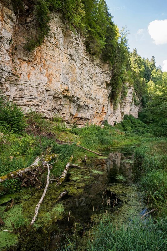 Wutach Gorge, Bonndorf, Baden-Wuerttemberg, Black Forest, Germany, Europe