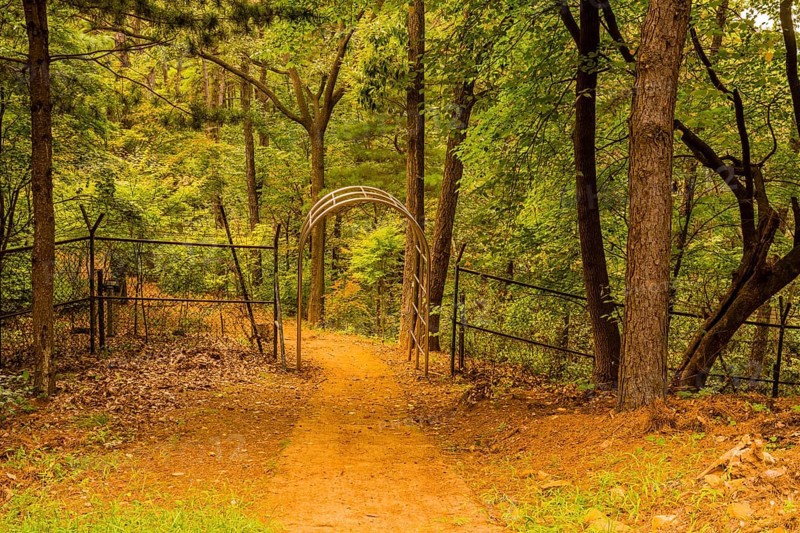 Path to chrome gate in wire fence at edge of wooded public park in South Korea