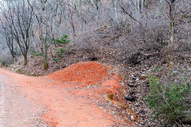 Mound of red clay next to hiking trail in mountainous recreational forest