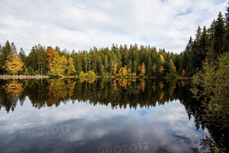 Lake and autumn forest, Mathisleweiher, near Hinterzarten, Black Forest, Baden-Wuerttemberg, Germany, Europe