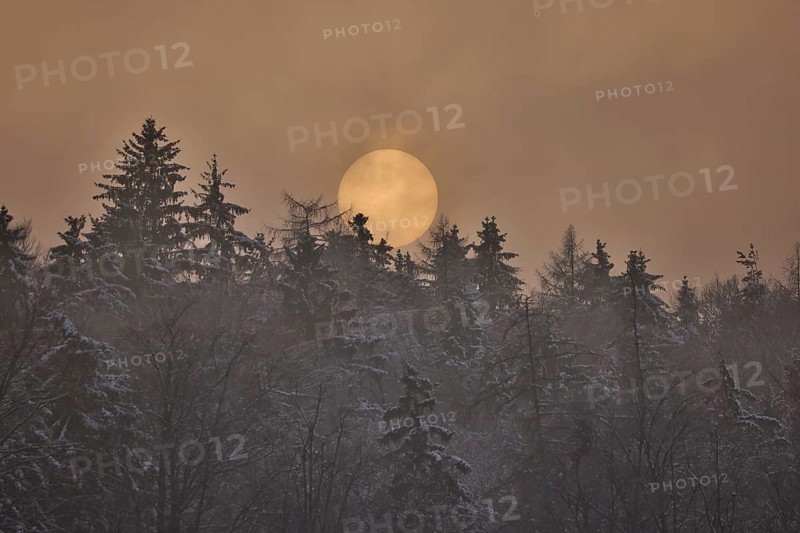 The sun disc sets behind a snowy forest in foggy weather, reddish evening light, Upper Bavaria, Bavaria, Germany, Europe