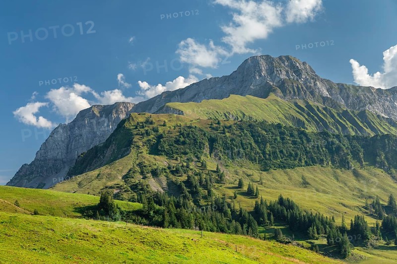 Oberbauen, Lake Lucerne, Canton Uri, Switzerland, Lake Lucerne, Uri, Switzerland, Europe