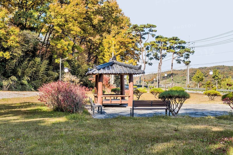 Landscape of roadside park with bushes and plants in autumn colors in South Korea
