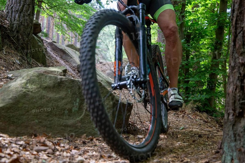 Mountain bikers on a descent in the Palatinate Forest near Weinbiet in the Palatinate Forest, Germany, Europe