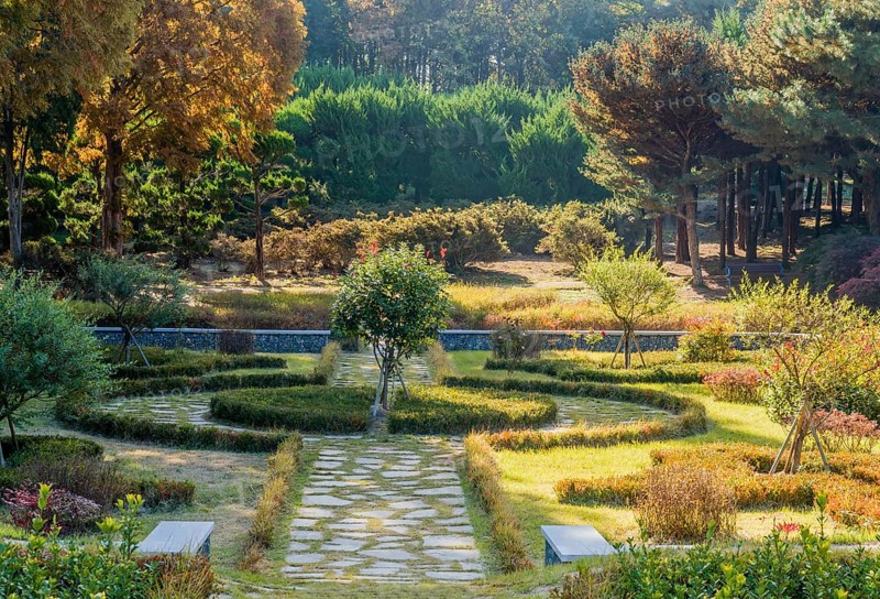 Landscape of beautiful rural park on sunny autumn afternoon in South Korea