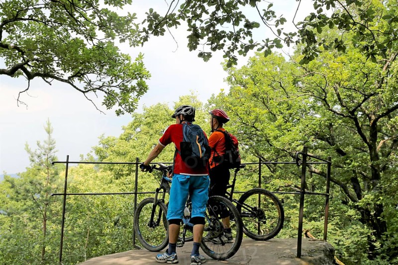 Mountain bikers enjoy the view in the Palatinate Forest above Neustadt an der Weinstrasse