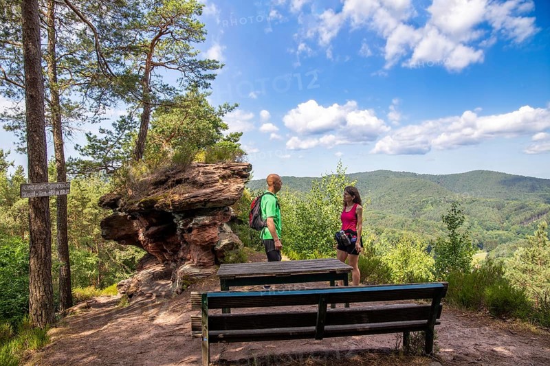 Hikers at the Haeusel-Stein viewpoint in the Palatinate Forest