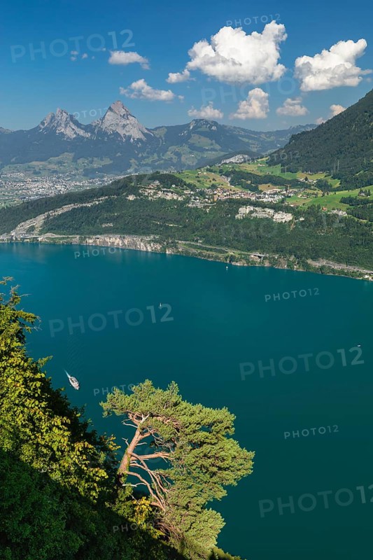 View from Seelisberg over Lake Lucerne Brunnen and the two Mythen, Canton Uri, Switzerland, Seelisberg, Lake Lucerne, Uri, Switzerland, Europe