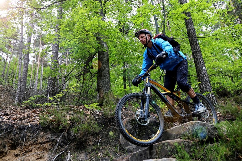 Mountain bikers on a difficult trail in the Palatinate Forest