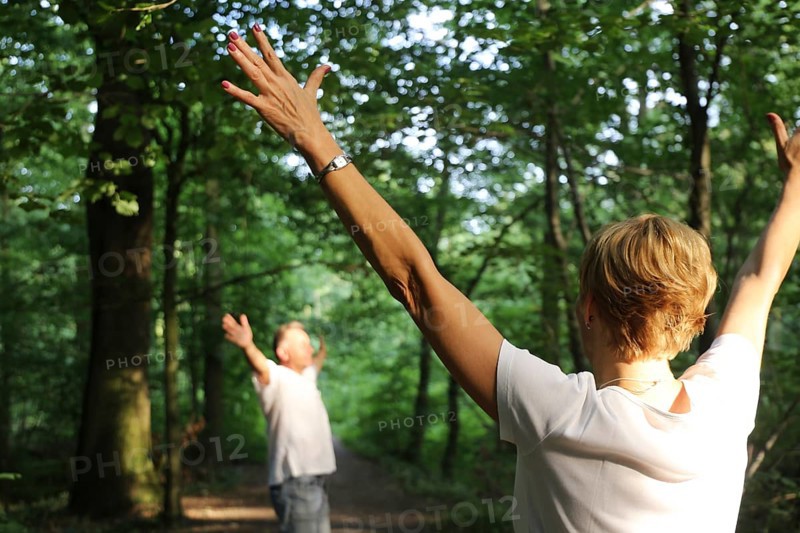 Group forest bathing (Shinrin Yoku), nature therapy from Japan