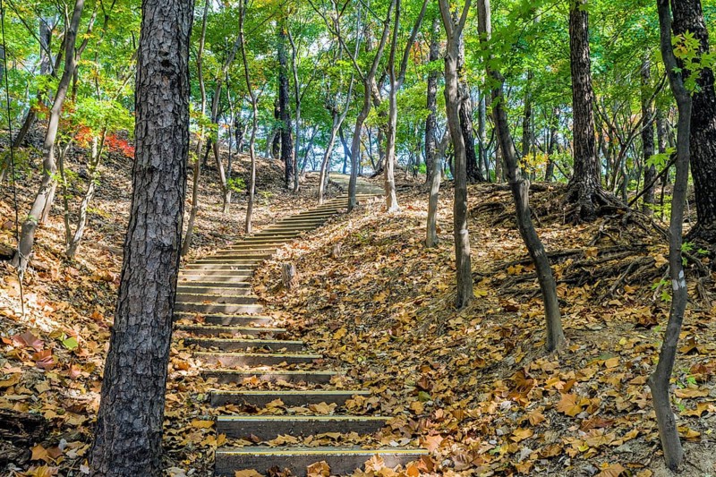 Stairs on side of mountain on sunny fall afternoon
