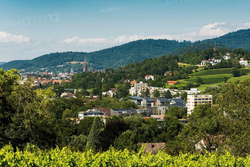 City view, in the foreground the Vauban neighbourhood, Freiburg im Breisgau, Black Forest, Baden-Wuerttemberg, Germany, Europe
