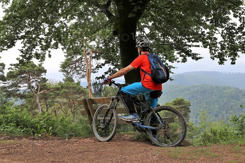 Mountain biker taking a break on a bench in the Palatinate Forest near the Weinbiet above Neustadt an der Weinstrasse