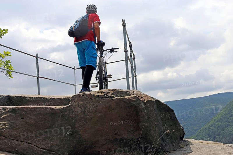Mountain biker enjoys the view of the Palatinate Forest above Neustadt an der Weinstrasse