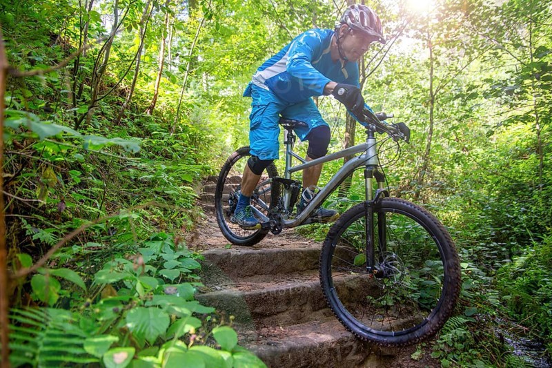 Mountain biker riding steps on a single trail in the Palatinate Forest, Germany, Europe