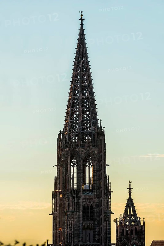 Tower of Freiburg Minster, sunset, Freiburg im Breisgau, Black Forest, Baden-Wuerttemberg, Germany, Europe