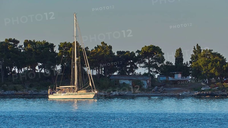 A sailing boat floats at dawn near the coast with trees, Gythio, Mani, Peloponnese, Greece, Europe
