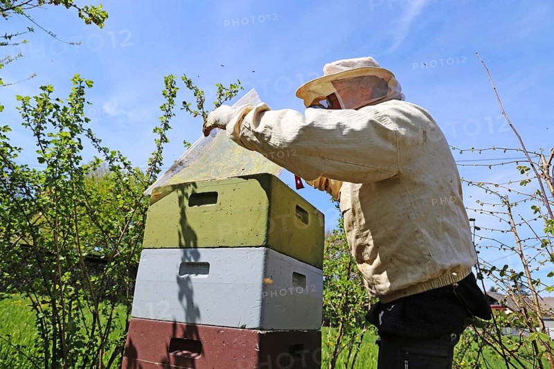 Beekeeper works on his hive