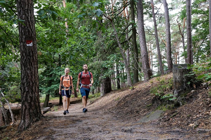 Symbolic image: Young couple hiking in the Palatinate Forest, here on the fifth stage of the Palatinate Wine Trail between Neustadt an der Weinstrasse and St. Martin
