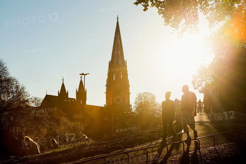 City garden with Karlssteg and Freiburg Minster, sunset, Freiburg im Breisgau, Black Forest, Baden-Wuerttemberg, Germany, Europe