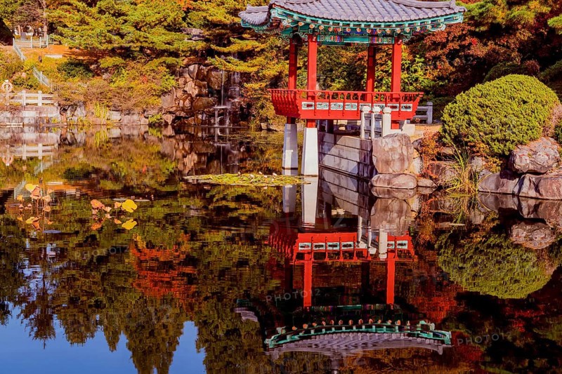 Beautiful oriental gazebo with terracotta tile roof at edge of man made pond with small waterfall in background in South Korea