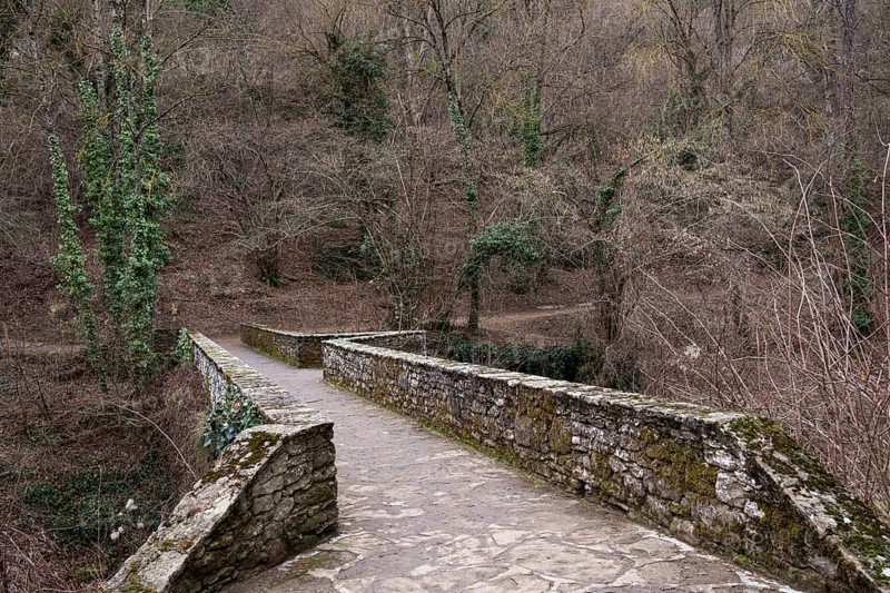 Can Vicari bridge in the town of Rupit in Catalonia in Spain