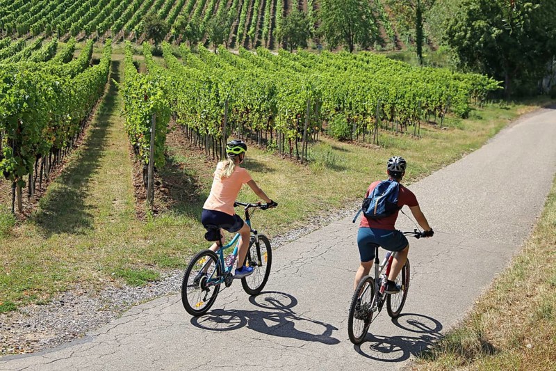 Symbolic image: Young couple on a bike tour in the vineyards, here in the Palatinate near Neustadt an der Weinstrasse